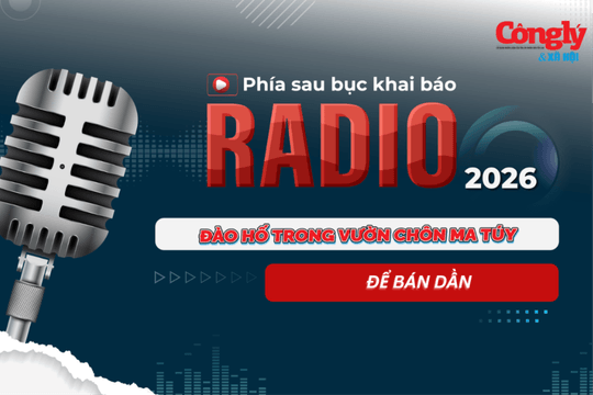 Radio Phía sau bục khai báo: Đào hố trong vườn chôn ma túy để bán dần