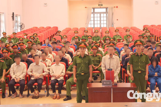 Xét xử chuyên án VN10: Luật sư đề nghị giảm nhẹ cho nhiều bị cáo