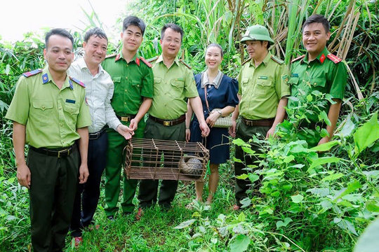 Tê tê quý hiếm nặng gần 3kg được người dân giao nộp, thả về rừng