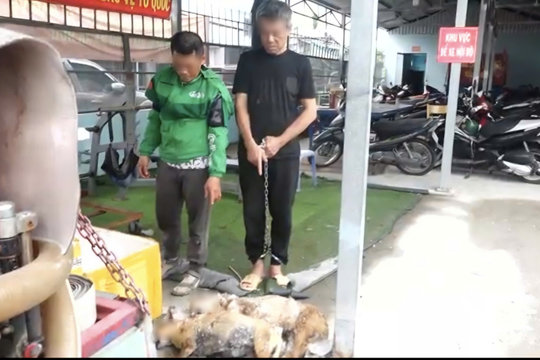 Khởi tố 2 đối tượng liên quan vụ trộm 5 con chó