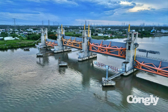 Hai khu đất được TP.HCM dùng thanh toán hợp đồng BT chống ngập