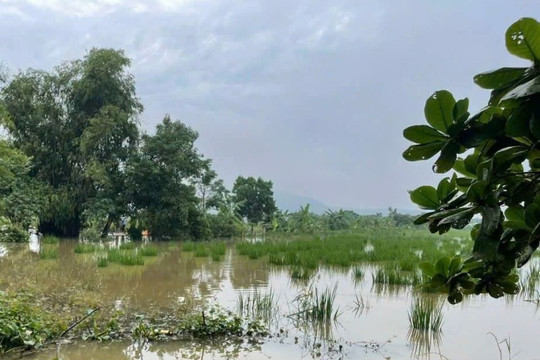Người đàn ông nghi mất tích do nước cuốn