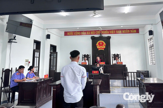 Đi sai làn gây tai nạn, nam thanh niên bị phạt tù