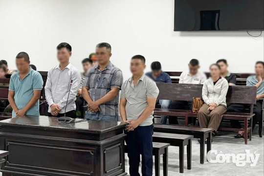Tuyên án đường dây buôn lậu hổ xuyên quốc gia