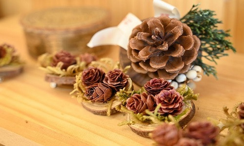 Khi những món quà từ rừng trở thành tác phẩm nghệ thuật