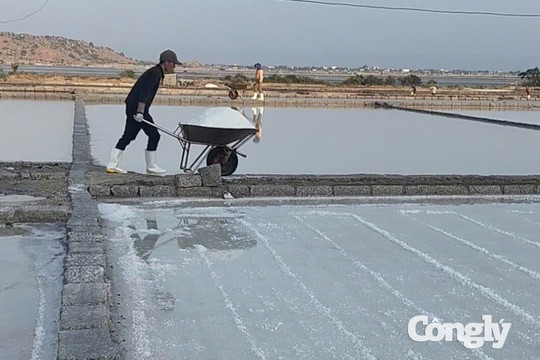 Từ nước biển đến hạt muối Khánh Nhơn: Không chỉ là “phơi nước lấy muối”