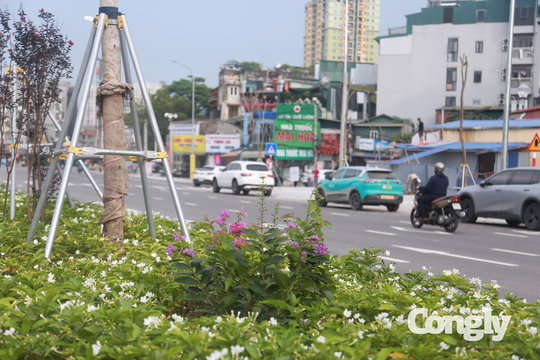 Điều chỉnh tổ chức giao thông phục vụ thông xe tạm đường Vành đai 1
