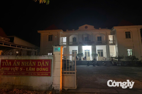 TAND khu vực 5 - Lâm Đồng: Làm sạch dữ liệu, nâng cao hiệu quả hoạt động tư pháp