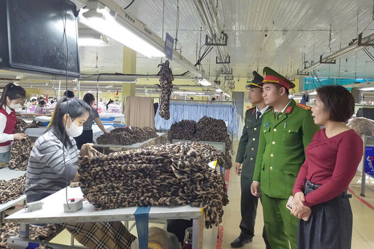 Chạy theo “việc nhẹ, lương cao”: Cả tin hay mù quáng?