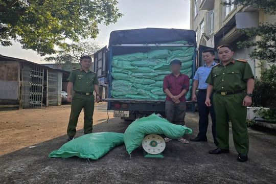 Bắt giữ 2,2 tấn chân gà “bẩn” tại Móng Cái