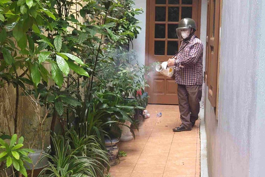 Hải Phòng tăng cường phòng chống dịch sốt xuất huyết