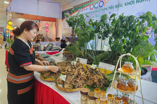 Đà Nẵng ưu tiên đưa Sâm Ngọc Linh lên sàn OCOP trên nền tảng Grab