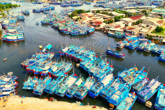 Chủ tịch xã, phường ven biển Gia Lai chịu trách nhiệm nếu để tàu cá “3 không” xuất bến