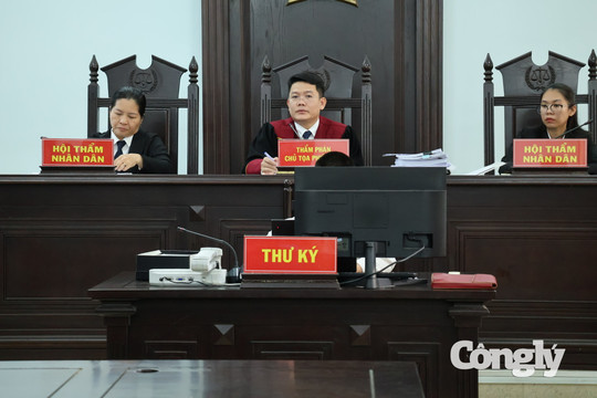 VKSND khởi kiện đòi lại tài sản công, Tòa tuyên doanh nghiệp phải bàn giao