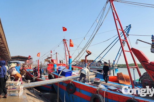 Nghệ An tăng tốc khắc phục, quyết liệt chống khai thác IUU