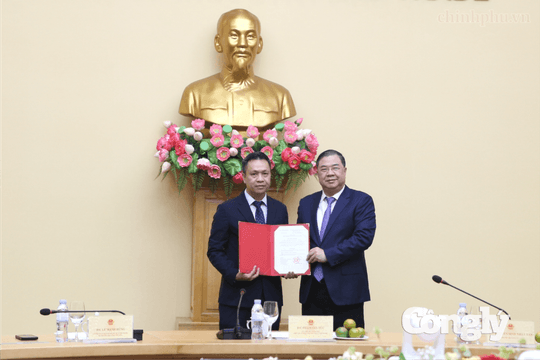 Ông Nguyễn Việt Sơn được bổ nhiệm làm Thứ trưởng Bộ Công Thương