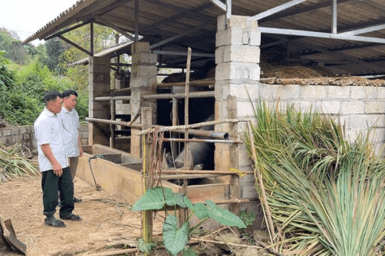 Cao Bằng tạo chuyển biến ở vùng đồng bào dân tộc thiểu số