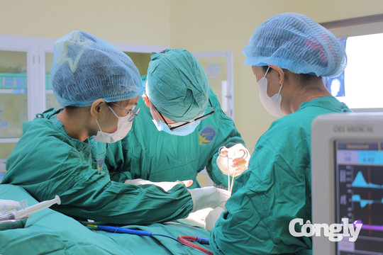 Tông chó thả rông, người đàn ông nhập viện