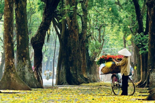 Thu về trên phố Hà Nội: Đi đâu, ăn gì để không bỏ lỡ mùa đẹp nhất năm?