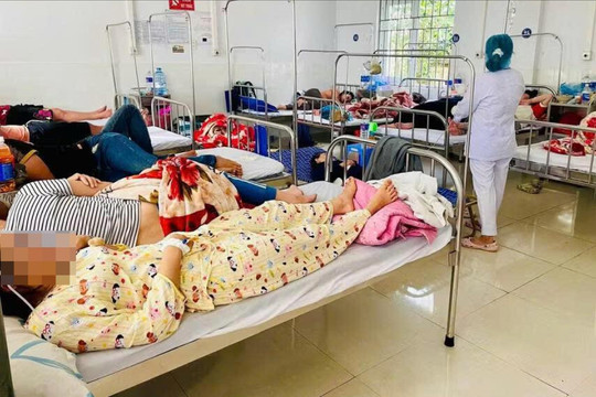 Đề nghị xử lý hộ kinh doanh khiến 254 người ăn bánh mì bị ngộ độc