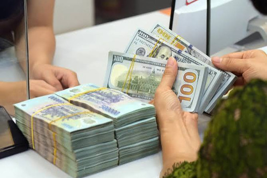 Tỷ giá ngoại tệ ngày 9/9: USD ngân hàng biến động nhẹ, EUR và GBP đi ngang