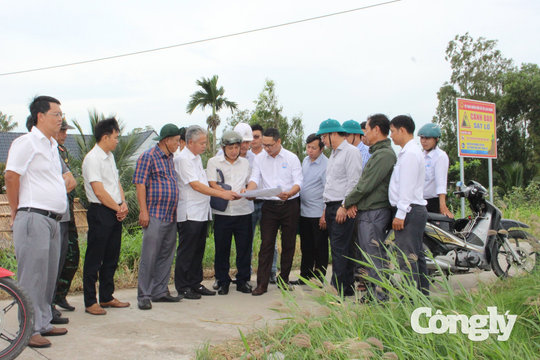 Cần Thơ triển khai công trình 160 tỷ đồng gia cố sạt lở bờ sông Hậu