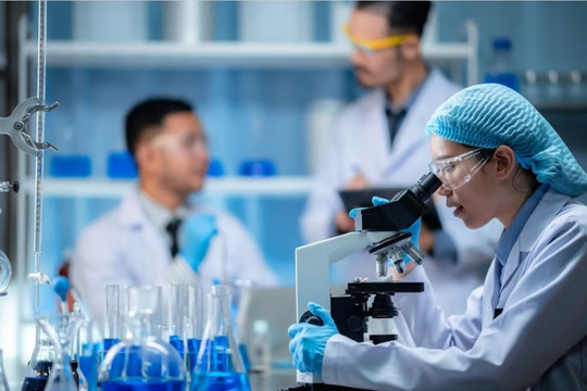 Bộ Nội vụ thúc đẩy đột phá chính sách thu hút, trọng dụng nhân tài