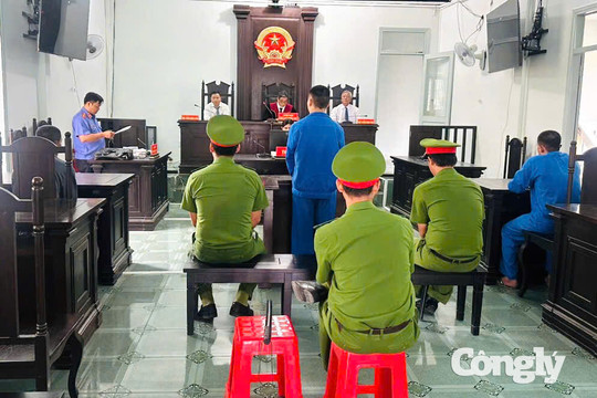 TAND khu vực 10 - Cần Thơ đẩy nhanh tiến độ xét xử trong ngày cao điểm