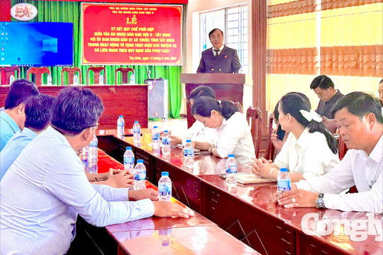 TAND khu vực 5 - Tây Ninh tăng tốc giải quyết án, hướng tới về đích sớm