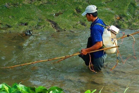 Một người đàn ông tử vong khi thả lưới bắt cá