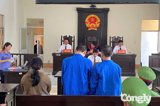 Rủ người chưa đủ 16 tuổi sử dụng ma túy, hai bị cáo lĩnh án