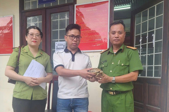 Người dân tự nguyện giao nộp rùa hộp ba vạch quý hiếm