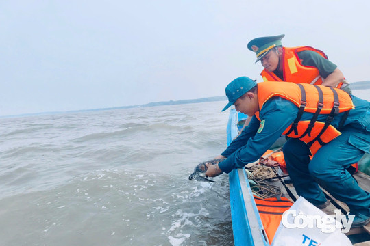 Phát hiện cá thể vích nặng 3kg, thả về biển