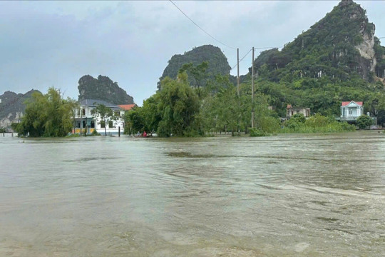 Ninh Bình: Chủ động ứng phó mưa lớn, cấm tàu thuyền qua cầu Đế