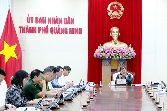 Quảng Ninh nghiên cứu tuyến đường 22.000 tỷ, hướng tới tổ hợp y tế - đào tạo - nhà ở