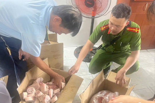 TP.HCM: Tiêu hủy gần 90kg thịt heo đông lạnh