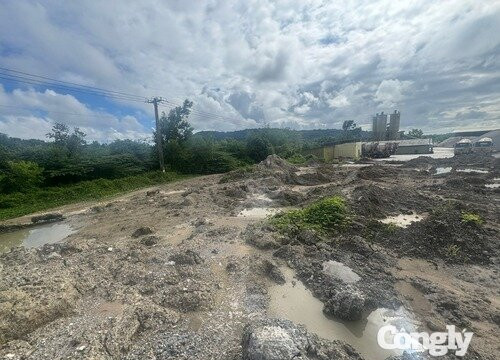 Khởi tố vụ án “Gây ô nhiễm môi trường” xảy ra tại Đặc khu Phú Quốc