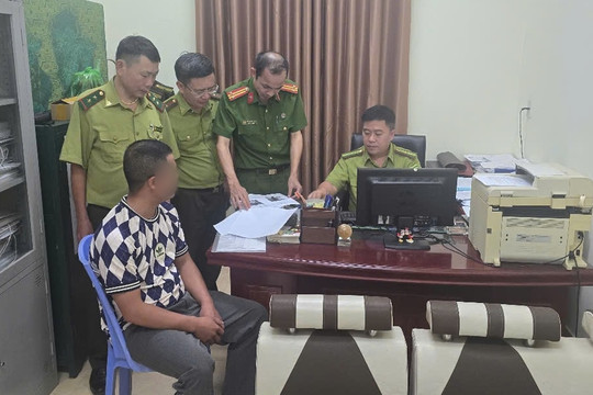 Rao bán phôi cây rừng trên mạng, 2 người bị phạt 15 triệu đồng