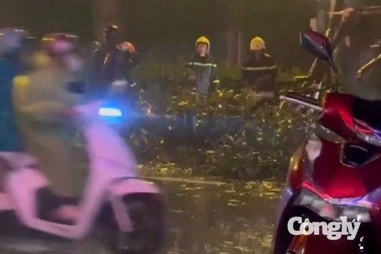Nhánh cây lớn rơi xuống đường, 1 người tử vong