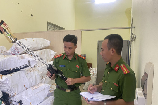 173 đối tượng liên quan vũ khí, pháo bị xử lý