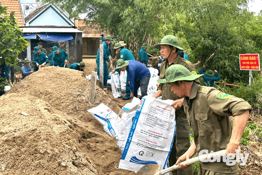 Khẩn trương gia cố các điểm sạt lở ven sông Tân Lâm