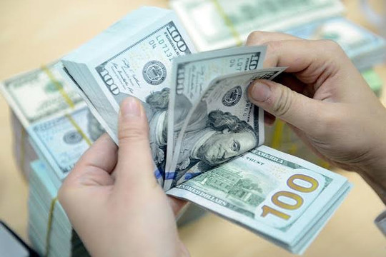 Tỷ giá ngoại tệ ngày 20/09: USD, EUR, GBP và JPY duy trì trạng thái ổn định