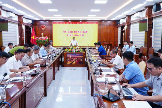 Phó Chủ tịch UBND tỉnh Gia Lai đôn đốc tiến độ cao tốc Quy Nhơn - Pleiku
