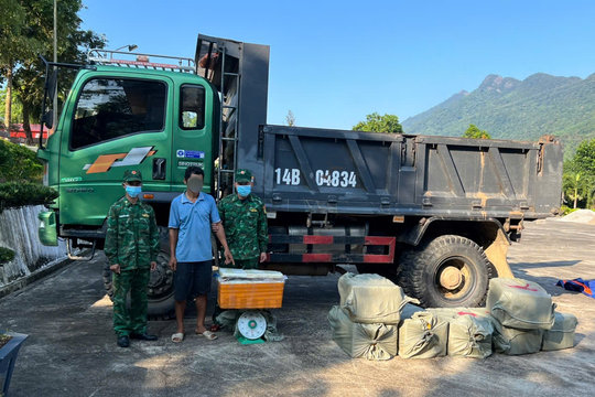 Phát hiện xe chở 400kg nầm lợn đông lạnh không rõ nguồn gốc