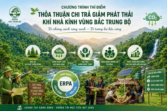 Từ thí điểm ERPA đến hoàn thiện thể chế về dịch vụ hấp thụ và lưu trữ các bon của rừng