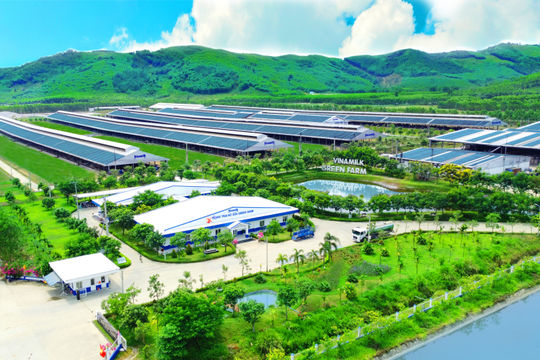 50 năm Vinamilk: Khi đạt chuẩn chưa phải là điểm dừng