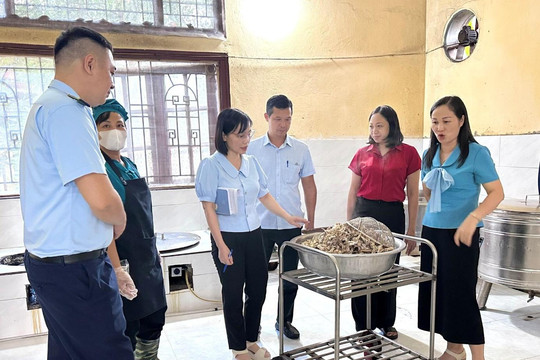 Tuyên Quang: Kiểm tra đột xuất bếp ăn trường học, siết an toàn thực phẩm