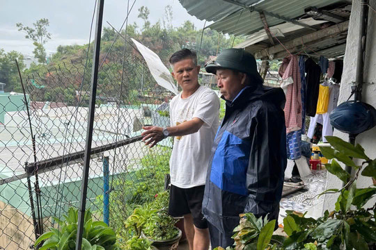 Chủ tịch phường Quy Nhơn đi kiểm tra các khu vực nguy cơ sạt lở