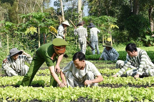 Từ 20/11, người chấp hành xong án phạt tù được vay tối đa 200 triệu đồng