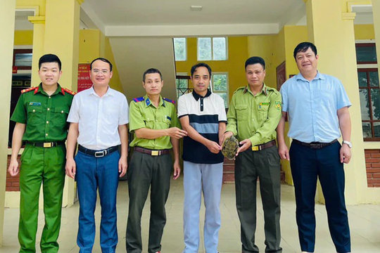 Rùa mỏ vẹt quý hiếm được học sinh phát hiện sau mưa